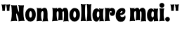 Non mollare mai